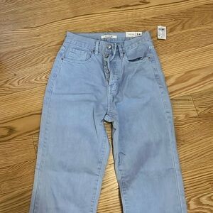 BRAND NEW pacsun dad jeans